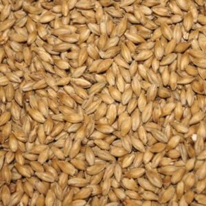 Grains